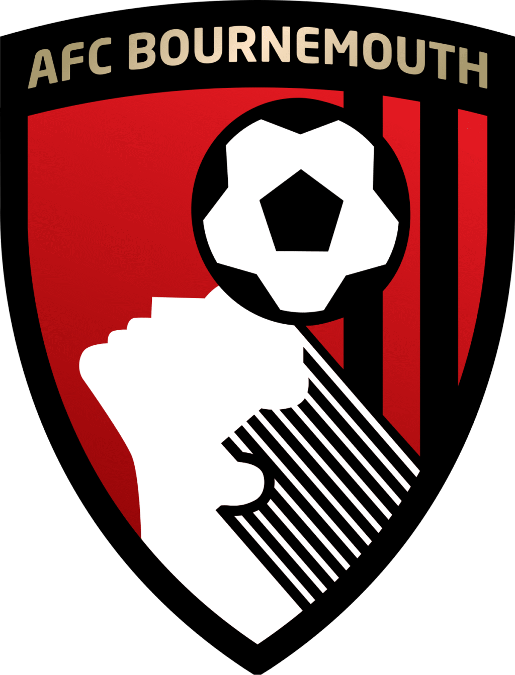 klub-sepak-bola-bournemouth-sejarah-dan-prestasi