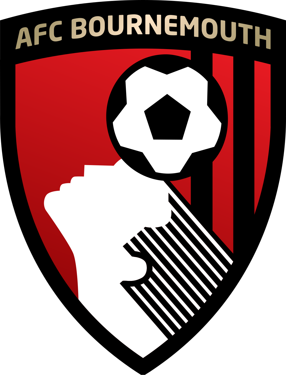 klub-sepak-bola-bournemouth-sejarah-dan-prestasi