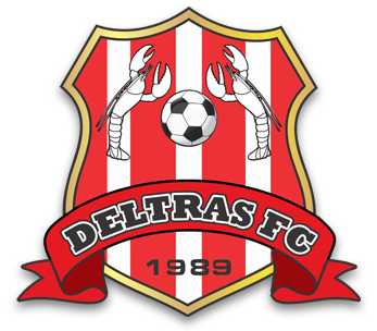 klub-sepak-bola-deltras-sidoarjo-sejarah-dan-prestasi