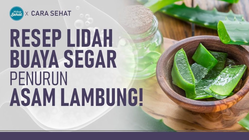 manfaat-dan-cara-membuat-minuman-jus-lidah-buaya-yang-segar
