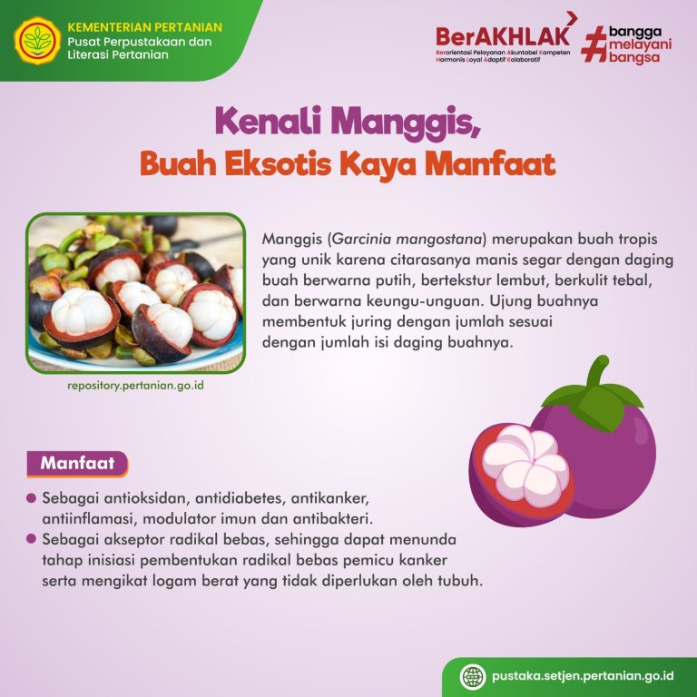 manfaat-dan-rasa-segar-dari-minuman-jus-manggis