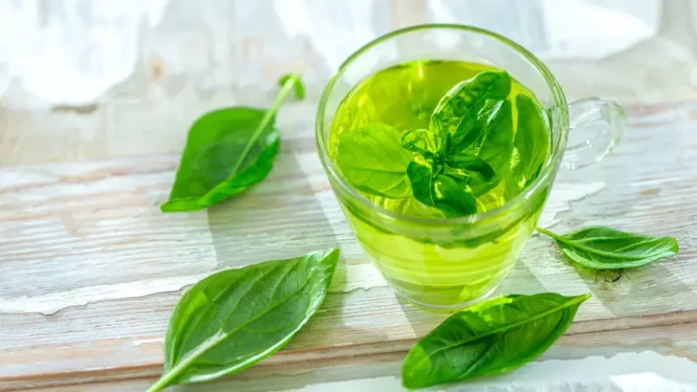 manfaat-dan-resep-minuman-jus-daun-kemangi-yang-segar