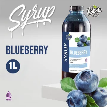 menikmati-segarnya-minuman-blueberry-soda-yang-menyegarkan