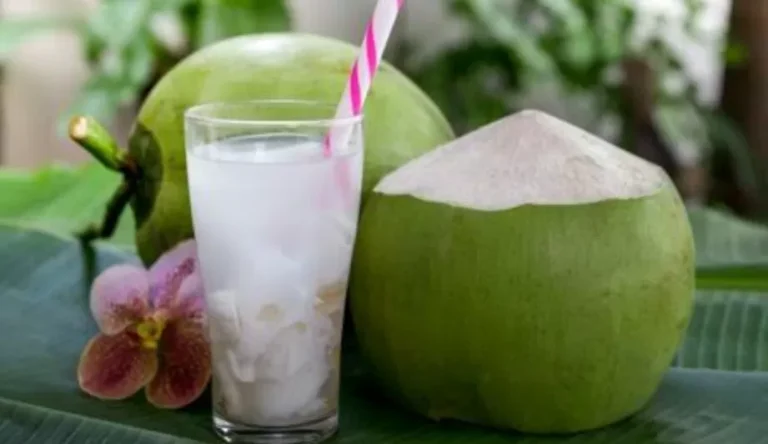 segarnya-minuman-es-kelapa-muda-pilihan-menyegarkan-di-musim-panas