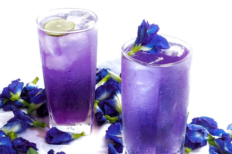 keunikan-dan-khasiat-minuman-teh-bunga-telang-yang-menyegarkan