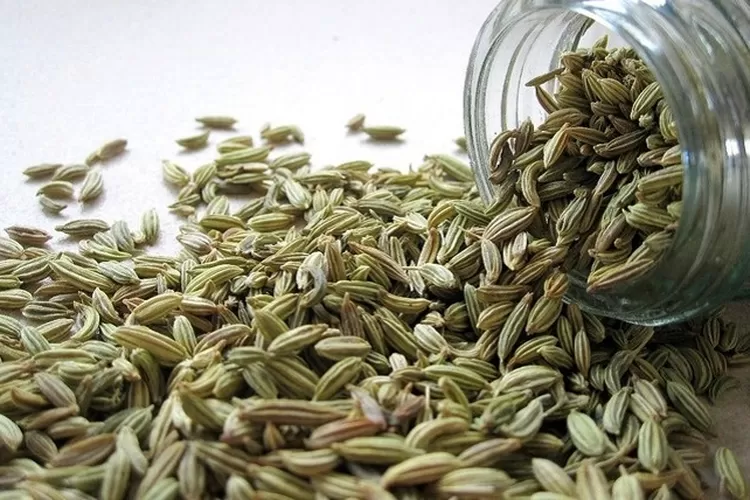 keunikan-dan-manfaat-minuman-teh-adas-untuk-kesehatan