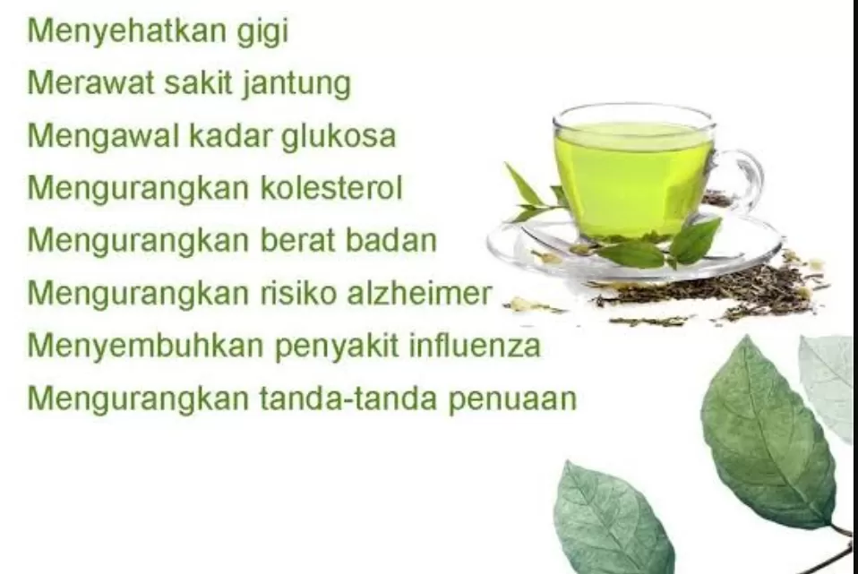 manfaat-dan-keunggulan-minuman-teh-hijau-untuk-kesehatan