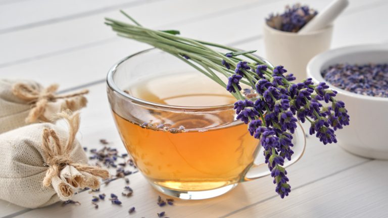 manfaat-dan-rasa-menarik-dari-minuman-teh-lavender