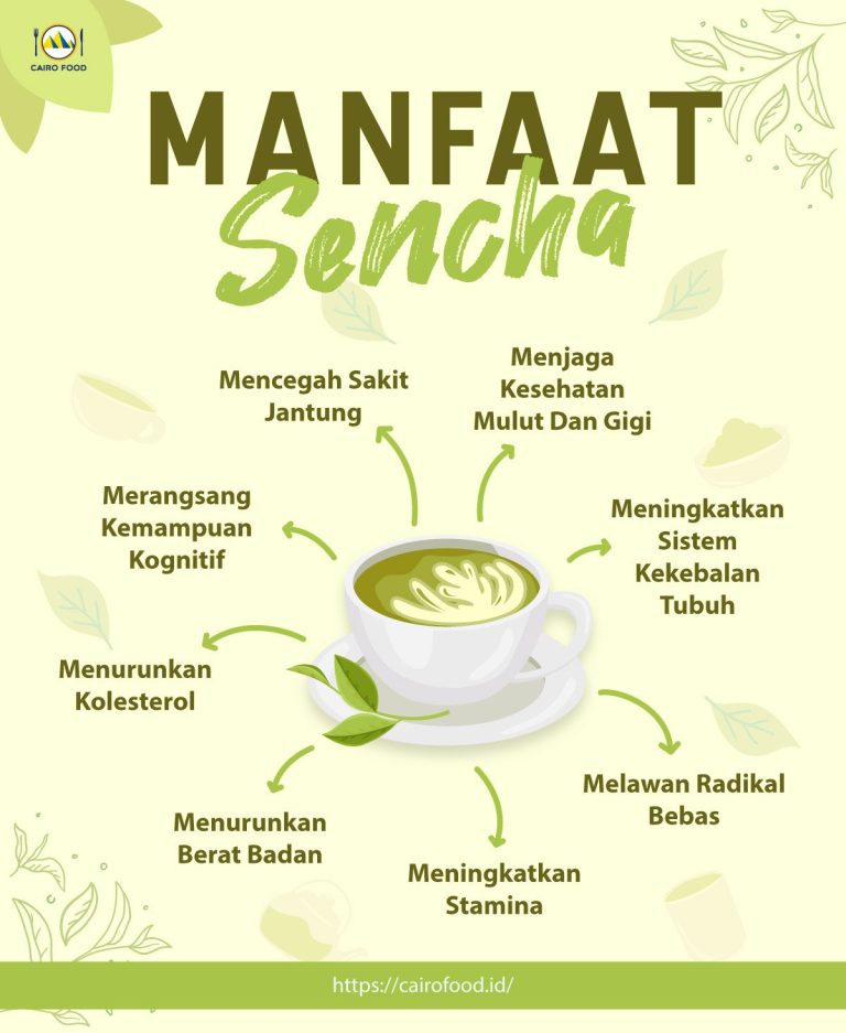 manfaat-dan-rasa-teh-hijau-sencacha-yang-menyegarkan