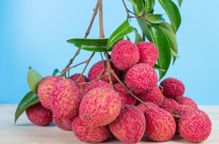 segudang-manfaat-dan-rasa-segar-dari-minuman-jus-leci